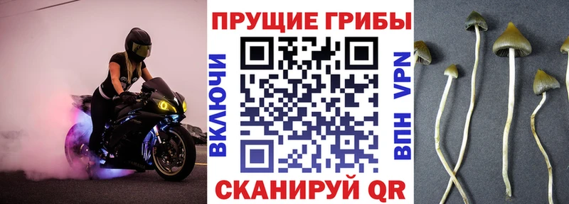 Псилоцибиновые грибы мухоморы  Купить где  Кострома 